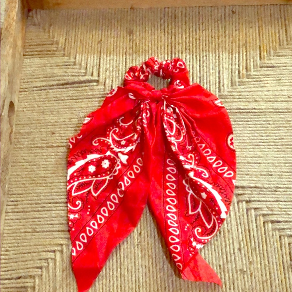 Scrunchie/bandanna